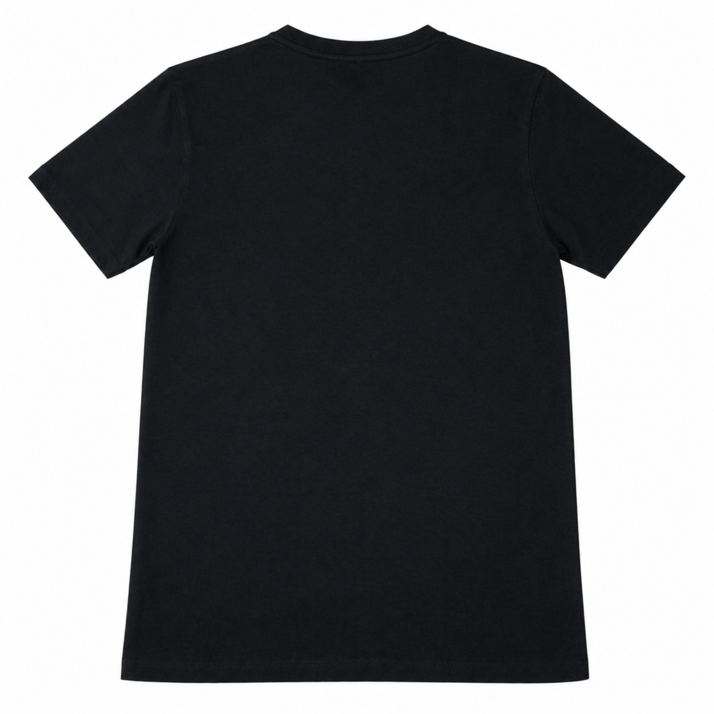 Premium V-Neck T-Shirt with embroidery