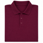 Lightweight Polo Shirt with Embroidery